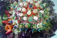 CateringPruszkow